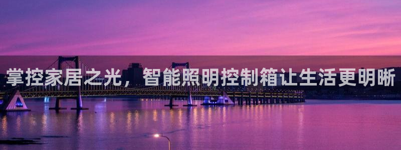 12311云顶线路检测