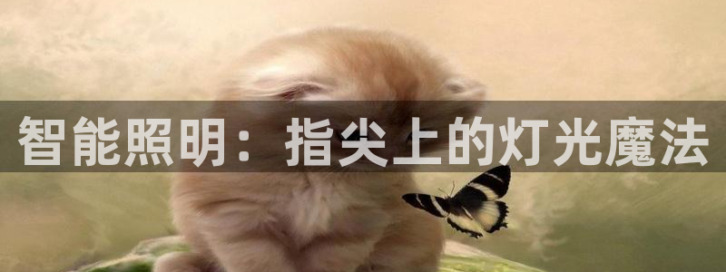 云顶集团网页