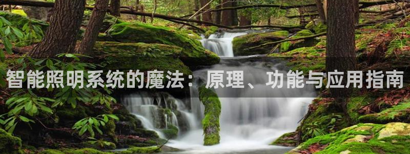 云顶国际服怎么换服务器