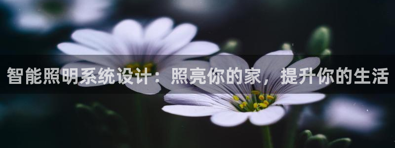 云顶国际前台电话号码