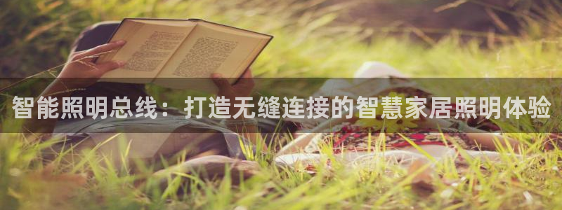 云顶国际中国官方网站入口
