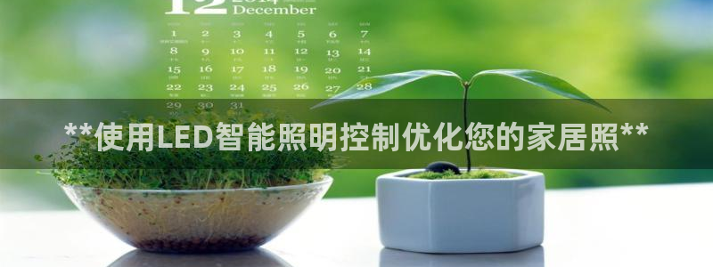 云顶国际服更新公告