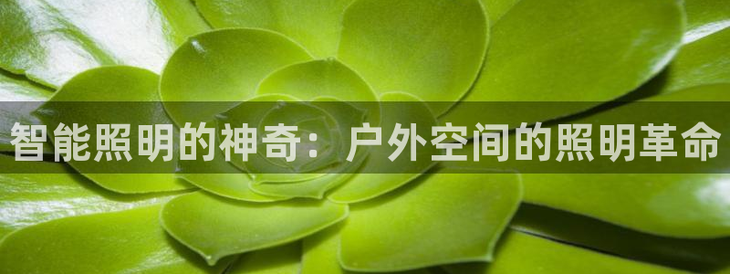 云顶国际公馆房价