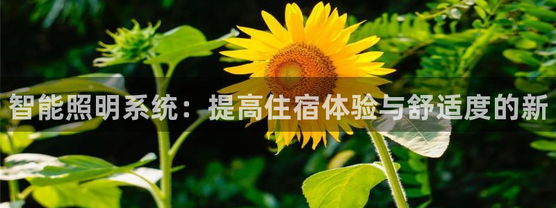 云顶国际网上平台是假的吗?
