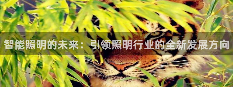 云顶集团有限公司简介地址