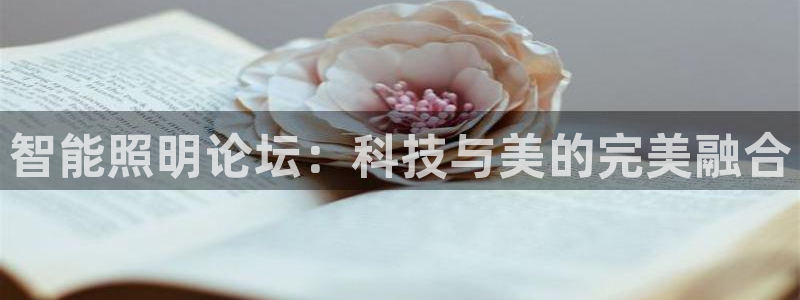 云顶国际城手机网址是什么