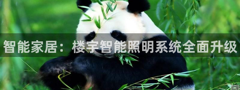 云顶国际公馆是公寓吗