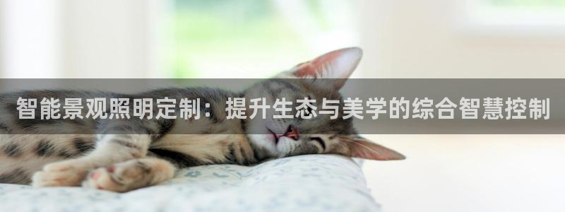 云顶官网唯一官方网站