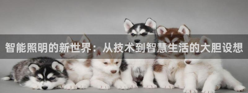 云顶国际提现多久到账户：智能照明的新世界
