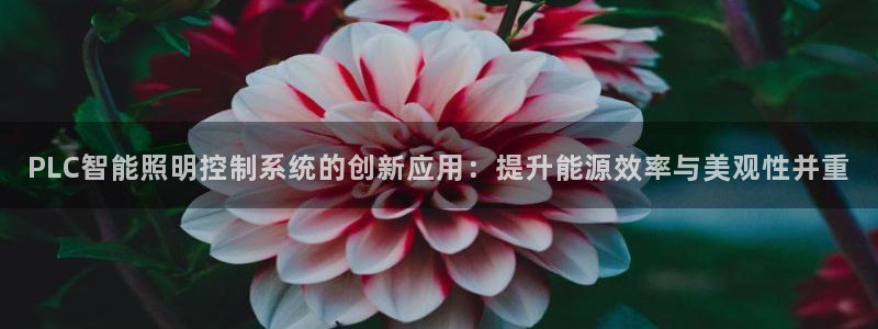 云顶28官网下载