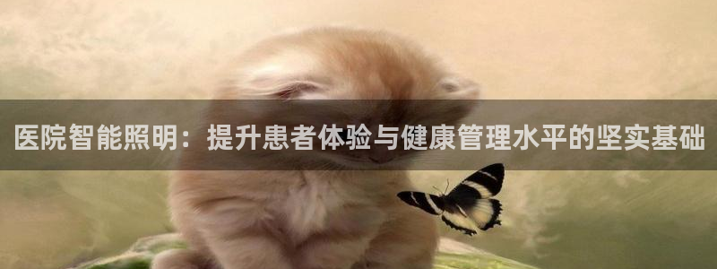 南昌云顶国际公馆是商品房吗