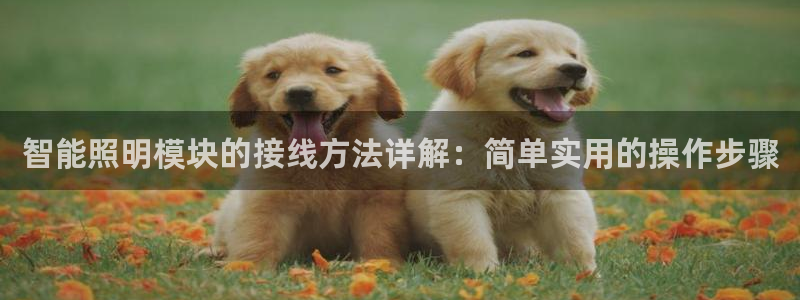 云顶集团存76送76：智能照明模块的接线