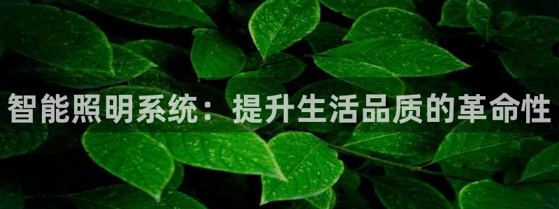 云顶集团3118app功能