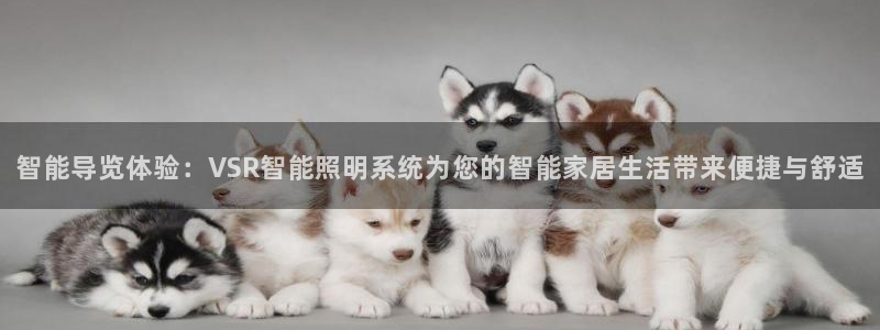 云顶国际有限公司