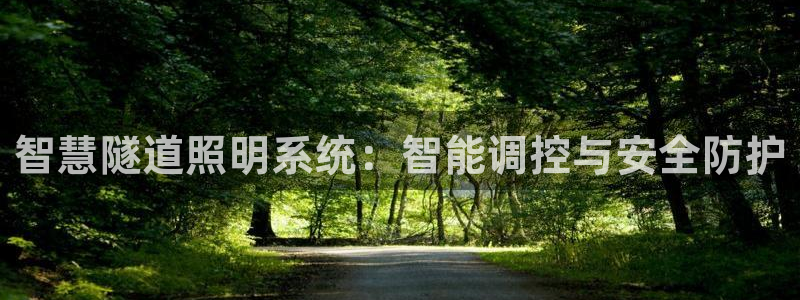 云顶国际服S9什么时候更新