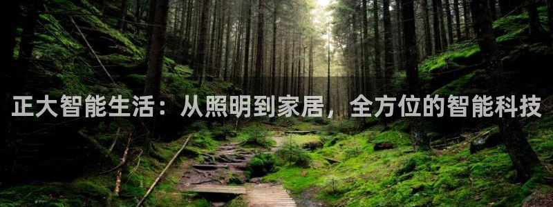 云顶国际官方网站下载手游