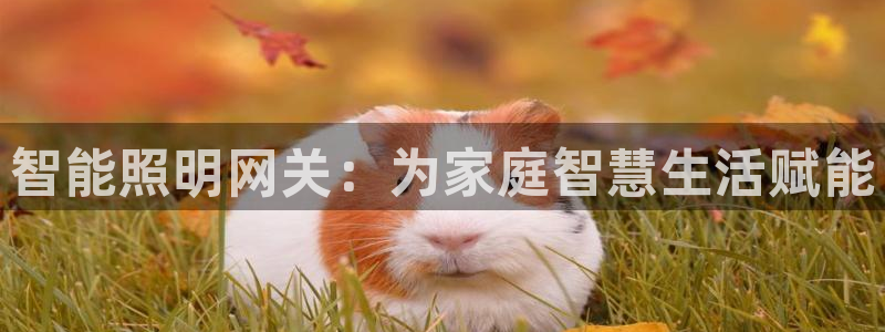 云顶集团网站安全吗