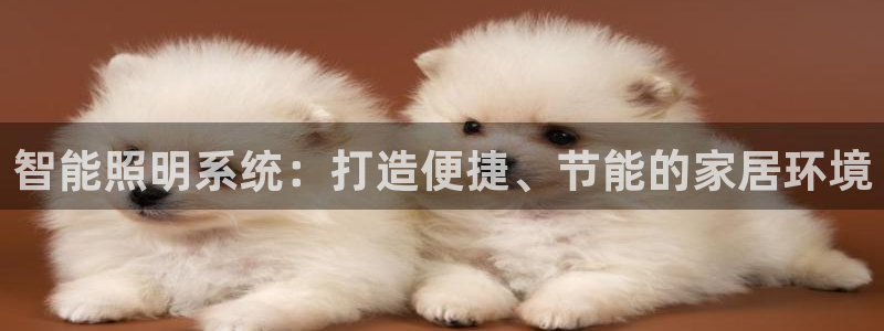 云顶国际百度百科下载