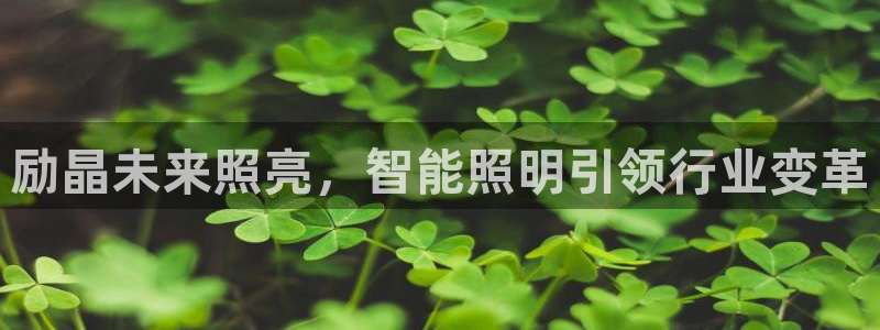 云顶国际创始人是谁呀