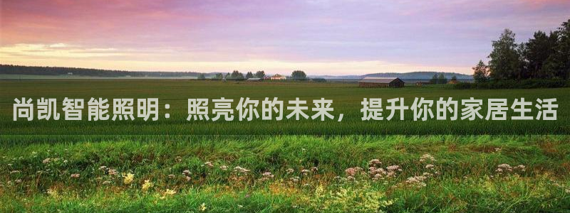 云顶集团公司官网