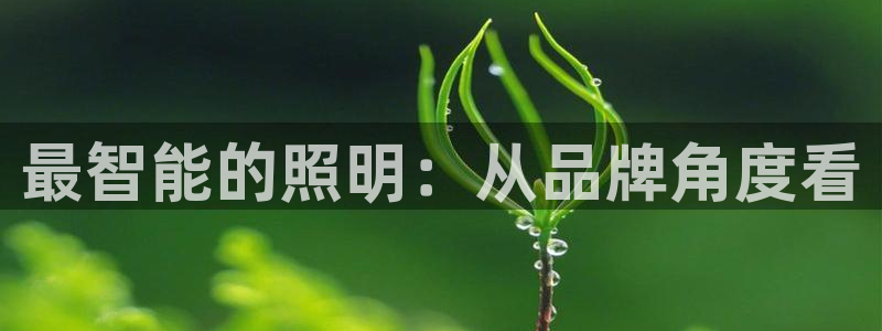 云顶国际app官方网站下载