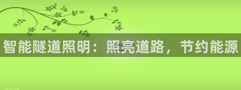 云顶集团网站多少钱一个