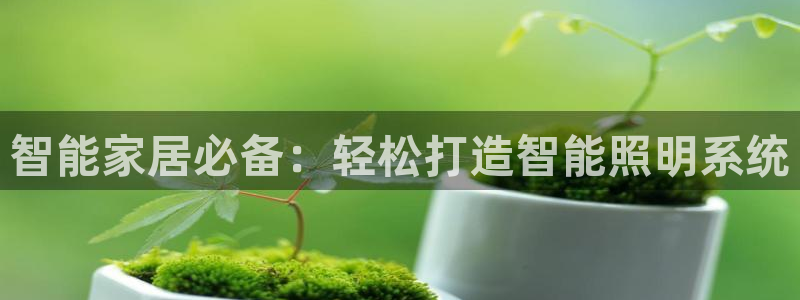 云顶国际酒店老板是谁