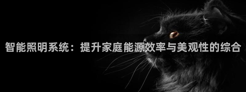 云顶国际物流官网