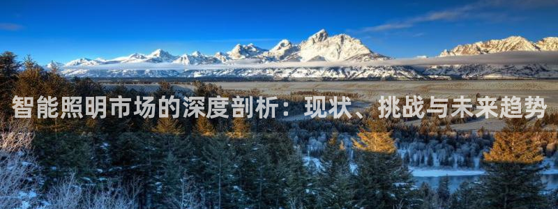 云顶国际服名字不可用