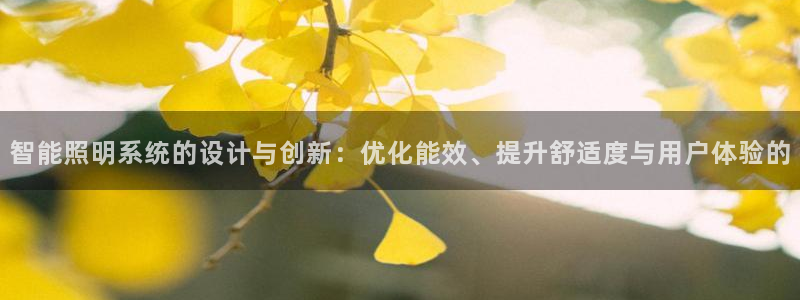 云顶国际黄钊华
