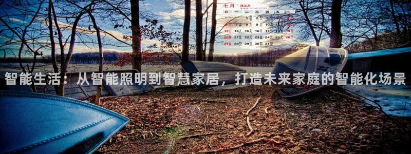 云顶国际大酒店电话：智能生活：从智能照明